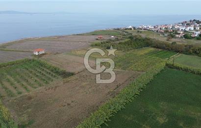 Çanakkale Lapseki Çardak Bayramdere Mevkii'nde Yatırımlık Tarla Satılık!