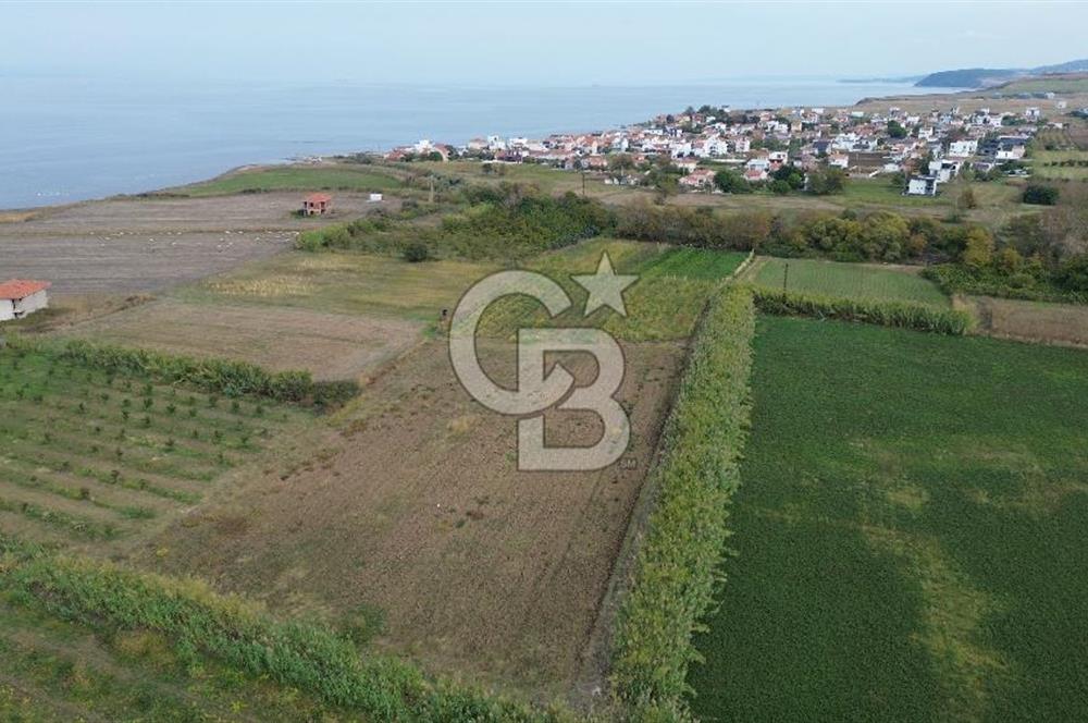 Çanakkale Lapseki Çardak Bayramdere Mevkii'nde Yatırımlık Tarla Satılık!