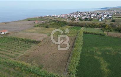Çanakkale Lapseki Çardak Bayramdere Mevkii'nde Yatırımlık Tarla Satılık!