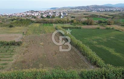 Çanakkale Lapseki Çardak Bayramdere Mevkii'nde Yatırımlık Tarla Satılık!