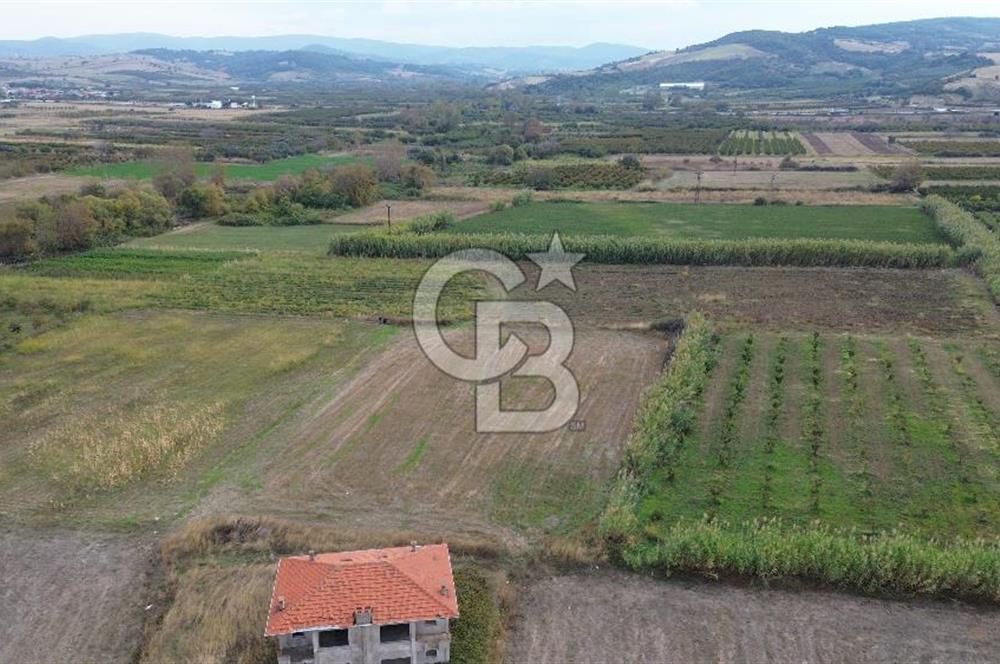Çanakkale Lapseki Çardak Bayramdere Mevkii'nde Yatırımlık Tarla Satılık!