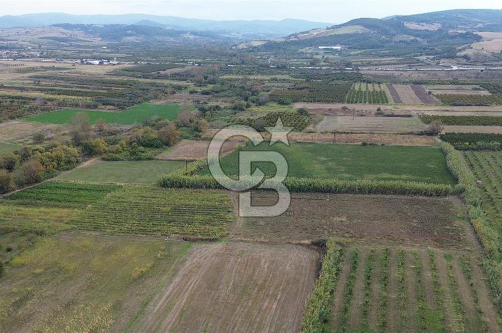 Çanakkale Lapseki Çardak Bayramdere Mevkii'nde Yatırımlık Tarla Satılık!