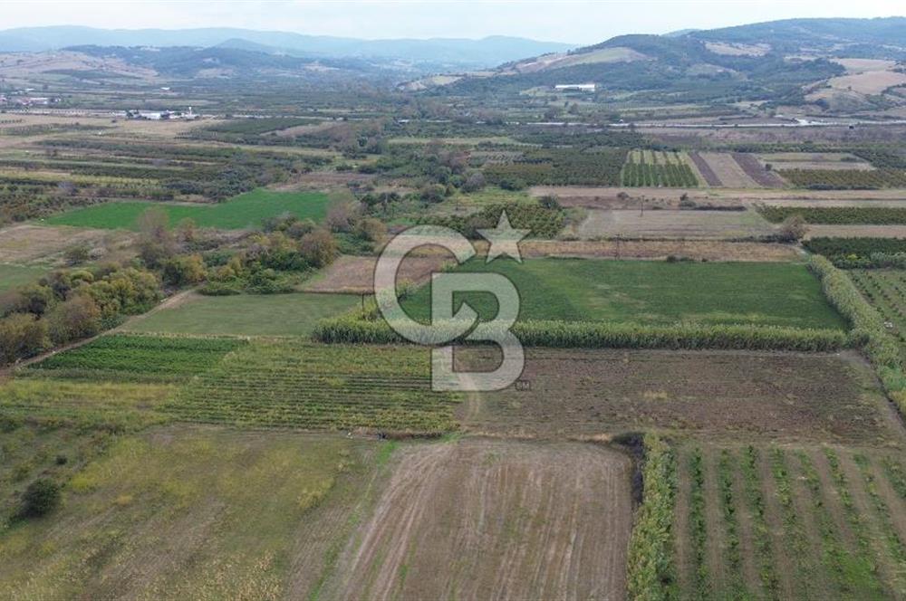 Çanakkale Lapseki Çardak Bayramdere Mevkii'nde Yatırımlık Tarla Satılık!