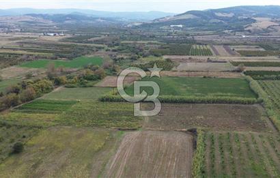 Çanakkale Lapseki Çardak Bayramdere Mevkii'nde Yatırımlık Tarla Satılık!