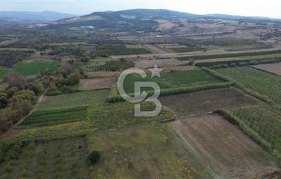Çanakkale Lapseki Çardak Bayramdere Mevkii'nde Yatırımlık Tarla Satılık!
