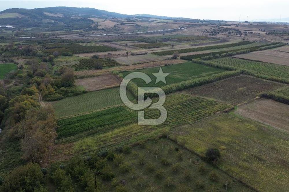 Çanakkale Lapseki Çardak Bayramdere Mevkii'nde Yatırımlık Tarla Satılık!