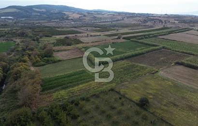 Çanakkale Lapseki Çardak Bayramdere Mevkii'nde Yatırımlık Tarla Satılık!