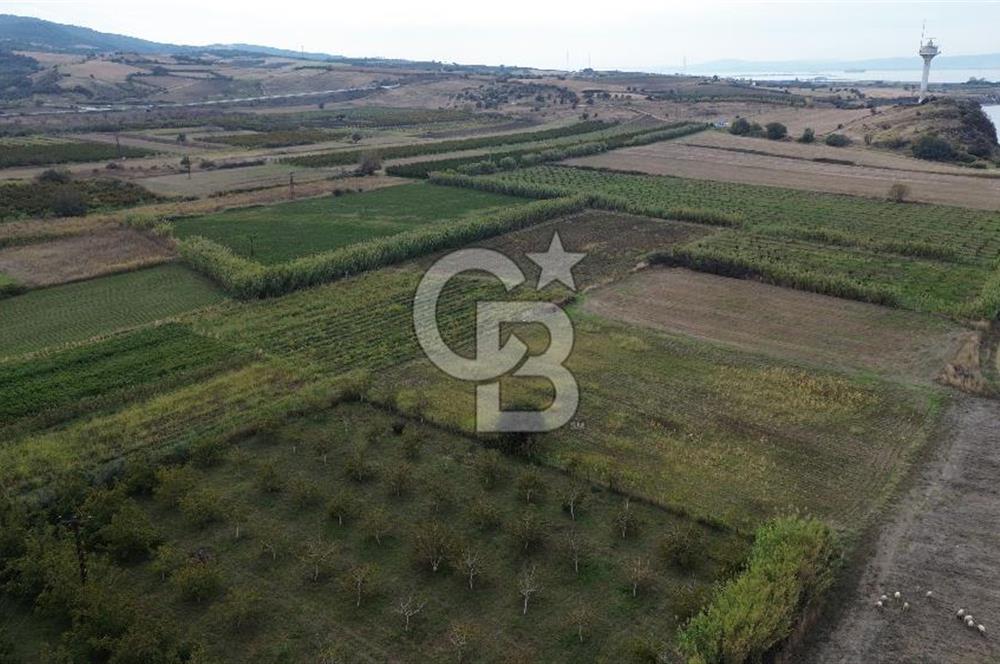 Çanakkale Lapseki Çardak Bayramdere Mevkii'nde Yatırımlık Tarla Satılık!