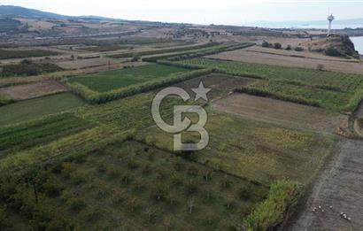 Çanakkale Lapseki Çardak Bayramdere Mevkii'nde Yatırımlık Tarla Satılık!