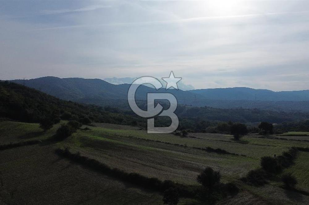 SATILIK TARLA – ÇANAKKALE LAPSEKİ GÜRECİ KÖYÜ 