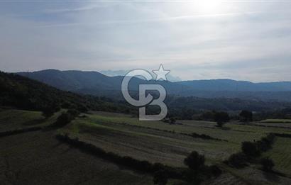 SATILIK TARLA – ÇANAKKALE LAPSEKİ GÜRECİ KÖYÜ 