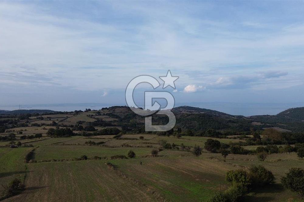 SATILIK TARLA – ÇANAKKALE LAPSEKİ GÜRECİ KÖYÜ 