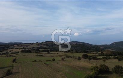 SATILIK TARLA – ÇANAKKALE LAPSEKİ GÜRECİ KÖYÜ 