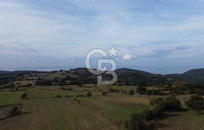 SATILIK TARLA – ÇANAKKALE LAPSEKİ GÜRECİ KÖYÜ 