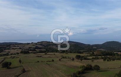 SATILIK TARLA – ÇANAKKALE LAPSEKİ GÜRECİ KÖYÜ 