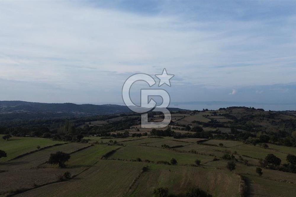 SATILIK TARLA – ÇANAKKALE LAPSEKİ GÜRECİ KÖYÜ 
