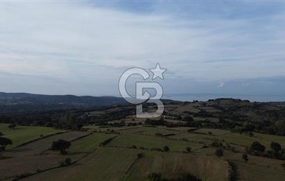SATILIK TARLA – ÇANAKKALE LAPSEKİ GÜRECİ KÖYÜ 