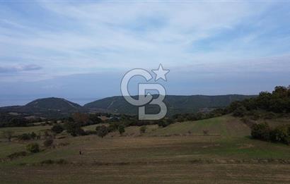SATILIK TARLA – ÇANAKKALE LAPSEKİ GÜRECİ KÖYÜ 