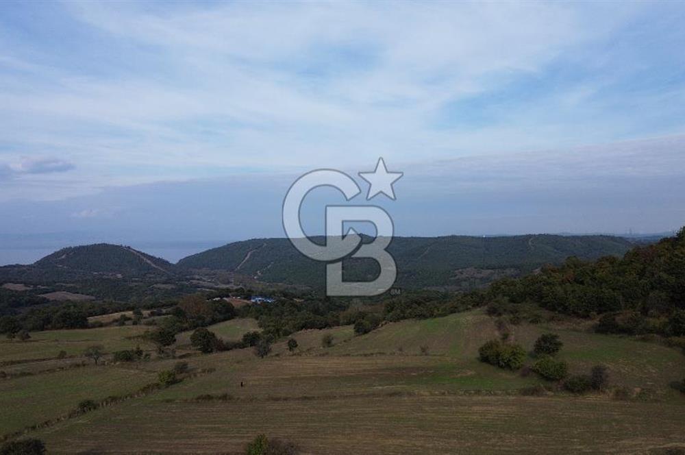 SATILIK TARLA – ÇANAKKALE LAPSEKİ GÜRECİ KÖYÜ 