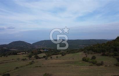 SATILIK TARLA – ÇANAKKALE LAPSEKİ GÜRECİ KÖYÜ 