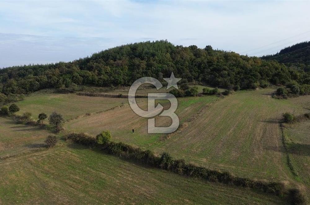 SATILIK TARLA – ÇANAKKALE LAPSEKİ GÜRECİ KÖYÜ 