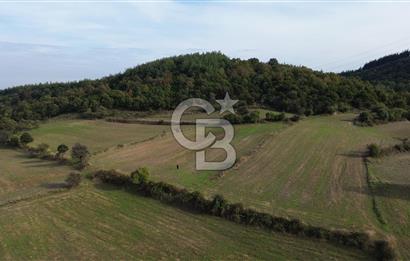 SATILIK TARLA – ÇANAKKALE LAPSEKİ GÜRECİ KÖYÜ 
