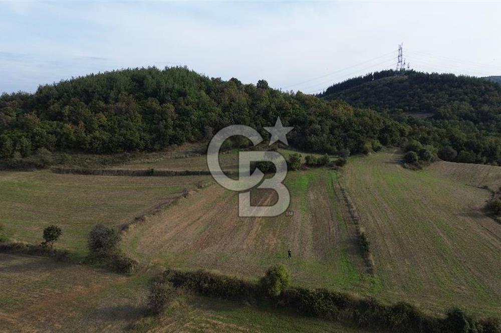 SATILIK TARLA – ÇANAKKALE LAPSEKİ GÜRECİ KÖYÜ 