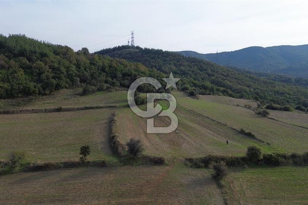 SATILIK TARLA – ÇANAKKALE LAPSEKİ GÜRECİ KÖYÜ 