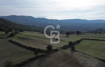 SATILIK TARLA – ÇANAKKALE LAPSEKİ GÜRECİ KÖYÜ 