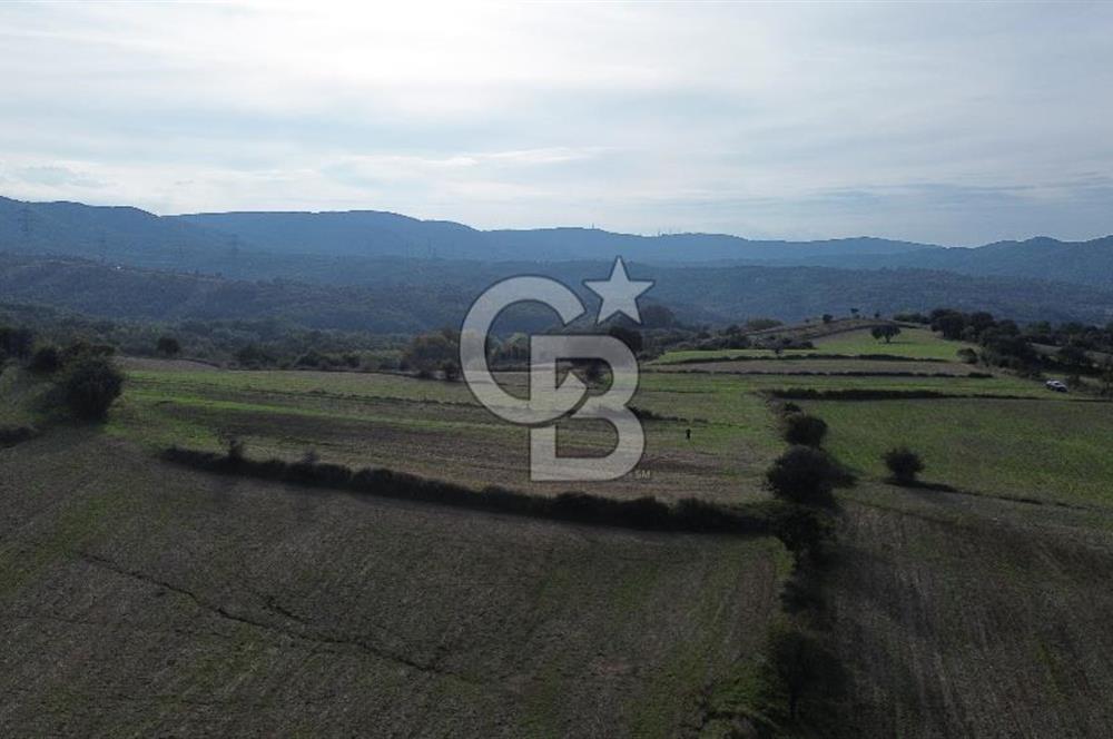 SATILIK TARLA – ÇANAKKALE LAPSEKİ GÜRECİ KÖYÜ 