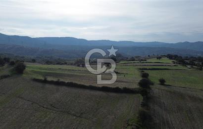 SATILIK TARLA – ÇANAKKALE LAPSEKİ GÜRECİ KÖYÜ 