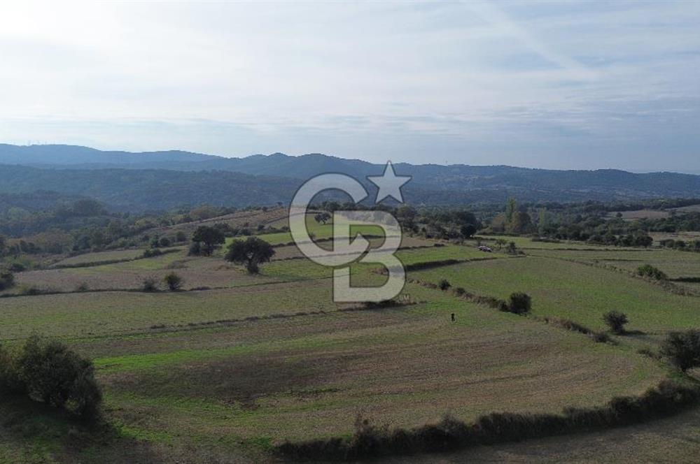 SATILIK TARLA – ÇANAKKALE LAPSEKİ GÜRECİ KÖYÜ 