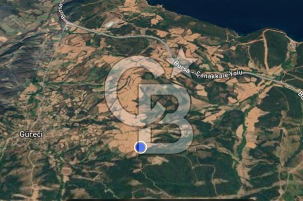 SATILIK TARLA – ÇANAKKALE LAPSEKİ GÜRECİ KÖYÜ 
