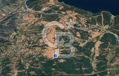 SATILIK TARLA – ÇANAKKALE LAPSEKİ GÜRECİ KÖYÜ 