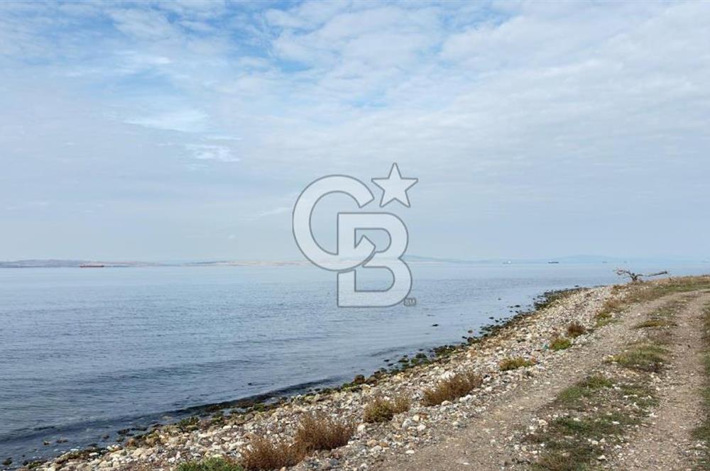 Çanakkale Lapseki Çardak Bayramdere Mevkii'nde Yatırımlık Tarla Satılık!