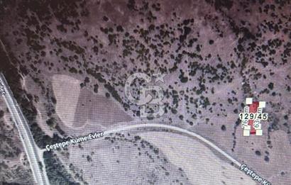 KIZILCAHAMAM ÇEÇTEPE DE SATILIK TARLA