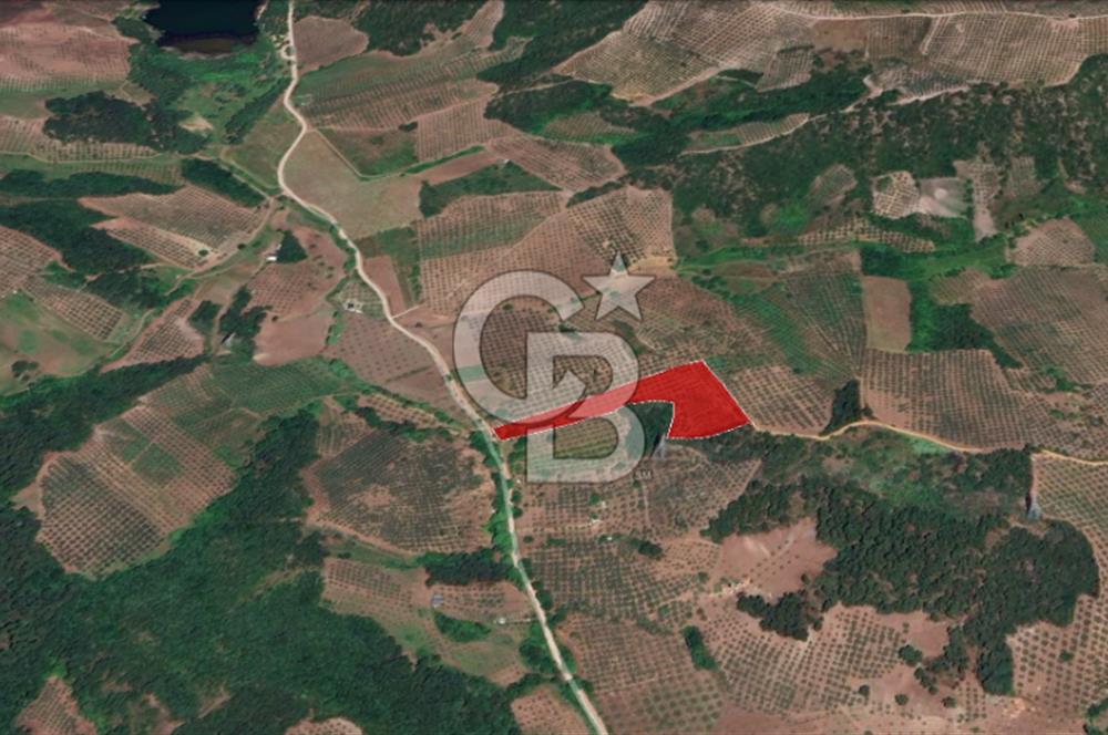 YATIRIMLIK Gemlik Muratobada 12.470 m² Tarla 3/1 HİSSE SATIŞTA
