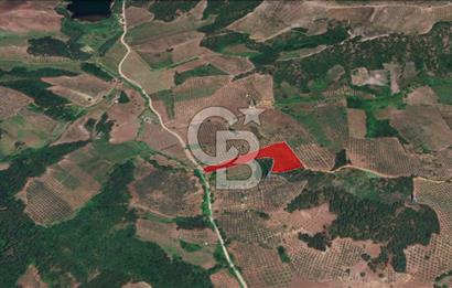 YATIRIMLIK Gemlik Muratobada 12.470 m² Tarla 3/1 HİSSE SATIŞTA