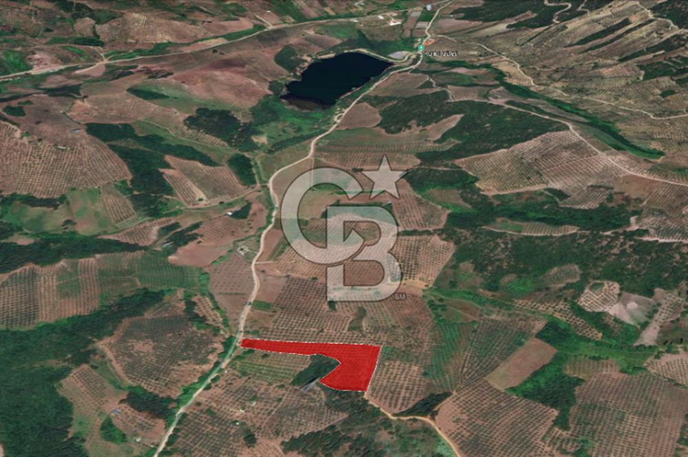 YATIRIMLIK Gemlik Muratobada 12.470 m² Tarla 3/1 HİSSE SATIŞTA