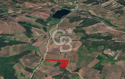 YATIRIMLIK Gemlik Muratobada 12.470 m² Tarla 3/1 HİSSE SATIŞTA