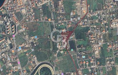 MUSELAND SAHİLEVLERİ 5887M2 VİLLA MÜŞTEMİLAT SATILIK ZEYTİNLİK