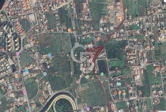 MUSELAND SAHİLEVLERİ 5887M2 VİLLA MÜŞTEMİLAT SATILIK ZEYTİNLİK