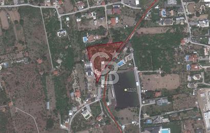 MUSELAND SAHİLEVLERİ 5887M2 VİLLA MÜŞTEMİLAT SATILIK ZEYTİNLİK