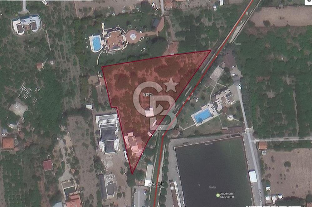 MUSELAND SAHİLEVLERİ 5887M2 VİLLA MÜŞTEMİLAT SATILIK ZEYTİNLİK