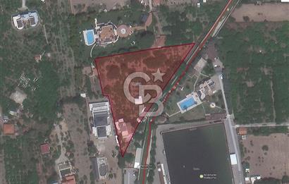 MUSELAND SAHİLEVLERİ 5887M2 VİLLA MÜŞTEMİLAT SATILIK ZEYTİNLİK