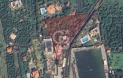 MUSELAND SAHİLEVLERİ 5887M2 VİLLA MÜŞTEMİLAT SATILIK ZEYTİNLİK