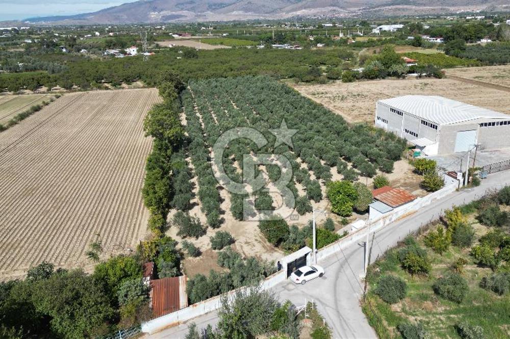 MENEMEN MERMERLİ'DE CB İYA'DAN MUHTEŞEM KONUMDA SATILIK ARAZİ