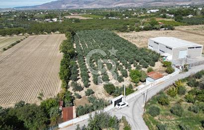MENEMEN MERMERLİ'DE CB İYA'DAN MUHTEŞEM KONUMDA SATILIK ARAZİ
