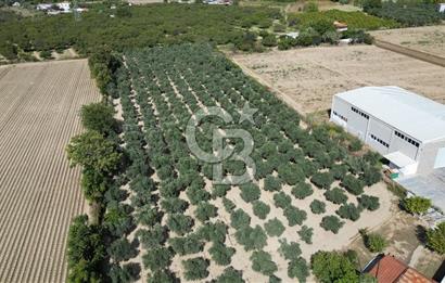 MENEMEN MERMERLİ'DE CB İYA'DAN MUHTEŞEM KONUMDA SATILIK ARAZİ