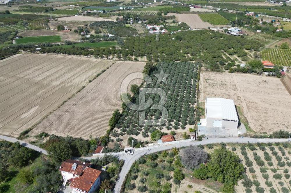 MENEMEN MERMERLİ'DE CB İYA'DAN MUHTEŞEM KONUMDA SATILIK ARAZİ